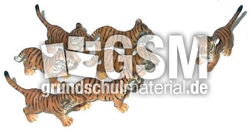 Tiger-6+1.jpg